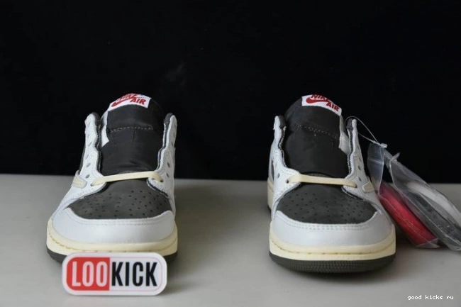 1 Air x Mocha Travis Reverse Scott Jordan DM7866-162 0811